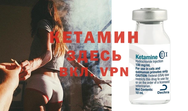 стаф Кукмор