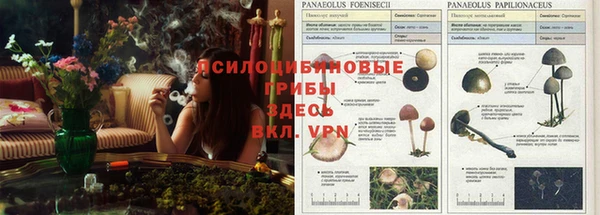 дживик Пионерский