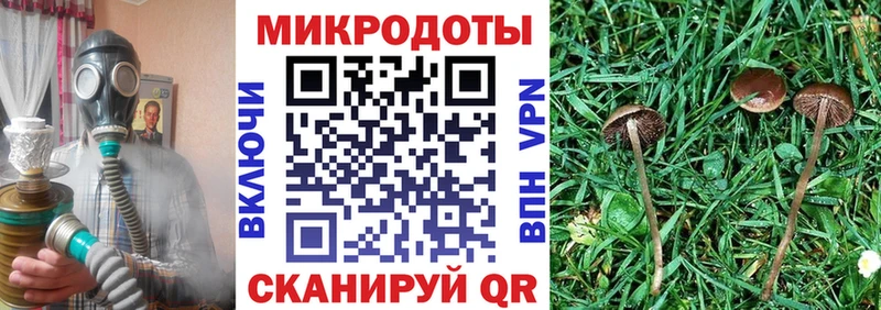 Галлюциногенные грибы Magic Shrooms  Темрюк 